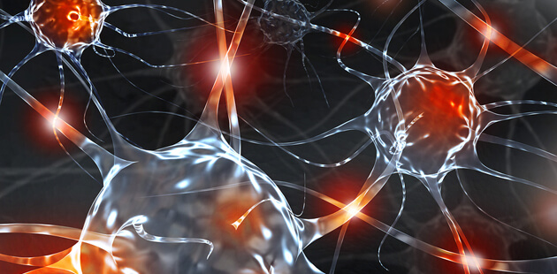 neurons and imblance - Dr. Paul Corona 