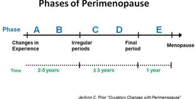 phases_of_perimenopause